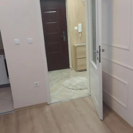 Palma Doboj